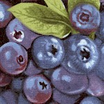 Farmer Johns  Organic Blueberries