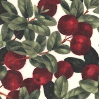 Luscious Fresh Cherries on Ivory