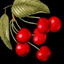 Gourmet Grocer - Luscious Cherries on Black