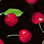 Fresh Picked - Tossed Cherries on Black