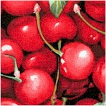 Farmer Johns Organic Cherries 