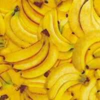 Fresh - Packed Small-Scale Bananas by Dan Morris