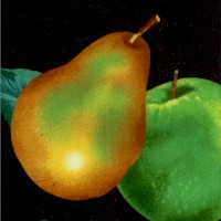 Pears and Apples