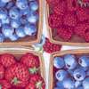 Fresh Berries in Baskets