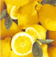 Farmers Market - Luscious Lemons Up Close