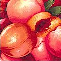 Farmer Johns Market - Packed Juicy Peaches-BACK IN STOCK!