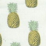 FB-pineapple-Y453