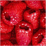 Farmers Market - Packed Raspberries