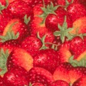 Some Bunnys Garden - Strawberries by Kathy Rusynyk