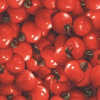 Farmer’s Market - Packed Cherry Tomatoes Up Close