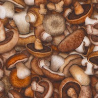 Fresh - Packed Gourmet Mushrooms by Dan Morris