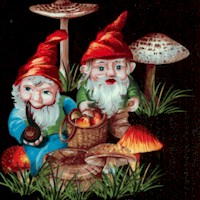 Happy Garden Gnomes on Black