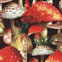 FB-mushrooms-BB187