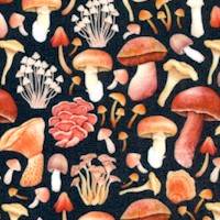 Nightfall - Tossed Wild Mushrooms by Rosie Dore (Digital)