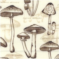 FB-mushrooms-Z182