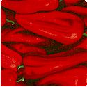 Farmers Market - Packed Luscious Peppers - SALE! (1 YARD MINIMUM PURCHASE)