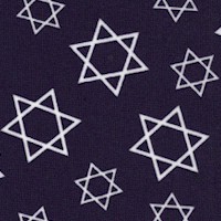 Festival of Lights - Tossed Stars of David on Navy Blue by Tara Reed