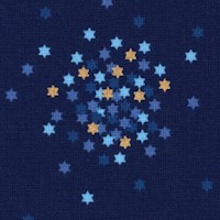 Festival of Lights - Petite Gilded Star of David Confetti Cluster on Navy Blue
