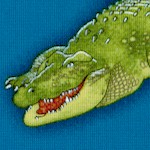 AN-alligators-W283