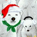 Season's Greetings Polar Bears- LTD. YARDAGE AVAILABLE (.5 YD) MUST BE PURCHASED IN FULL