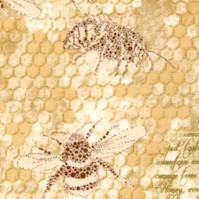 AN-bees-DD591