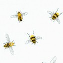 Everyday Favorites - Tossed Realistic Bees on Ivory - BACK IN STOCK!