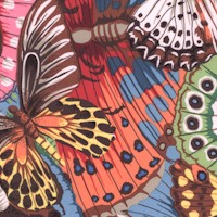 Treasure Island - Tropical Butterflies by Philip Jacobs for Snow Leopard Designs