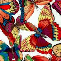 Bright Spirit - Colorful Butterflies on Ivory