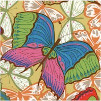 Cocoon - Liv - Funky Butterflies by Valorie Wells