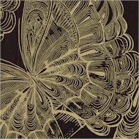 AN-butterflies-DD485