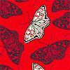 Butterflies in BLack and White on Red