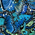 Butterfly Garden - Butterfly Wings in Blue