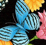 Spring Symphony - Floral Butterfly Scenes by Dan Morris