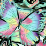 Nature Studies - Exquisite Butterflies #1 (Digital)