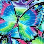 Nature Studies - Exquisite Butterflies #3 (Digital)