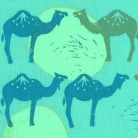 Jasmine - Moroccan - Inspired Camel Scenes by Valori Wells
