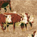 Cattle Drive - Longhorn Steer