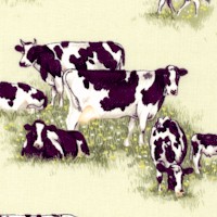 AN-cows-CC188