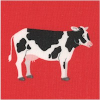 What Do the Animals Say? Handsome Cows by Katherine Lenius