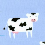 Cute Cows on Blue