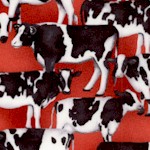 Heritage USA - Handsome Cows on Red by Grace Pop