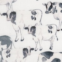 Rise ’n Shine - Farm Fresh Cows in Black and White