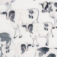 AN-cows-Z673