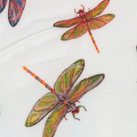 Fantastic Forest - Delicate Dragonflies on Ivory