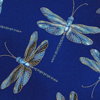 AN-dragonflies-R262