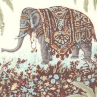 AN-elephants-AA572
