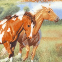 AN-horses-BB174