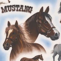 Way Out West - Handsome Horse Breeds  
