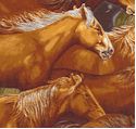 Way out West - Wild Horses-SPECIAL!- LTD. YARDAGE AVAILABLE (.75 YD; MUST BE PURCHASED IN FULL)