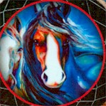 Painted Horses - Dreamcatcher Portraits